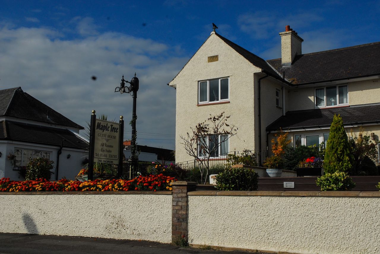 Maple Tree Guesthouse, Gretna